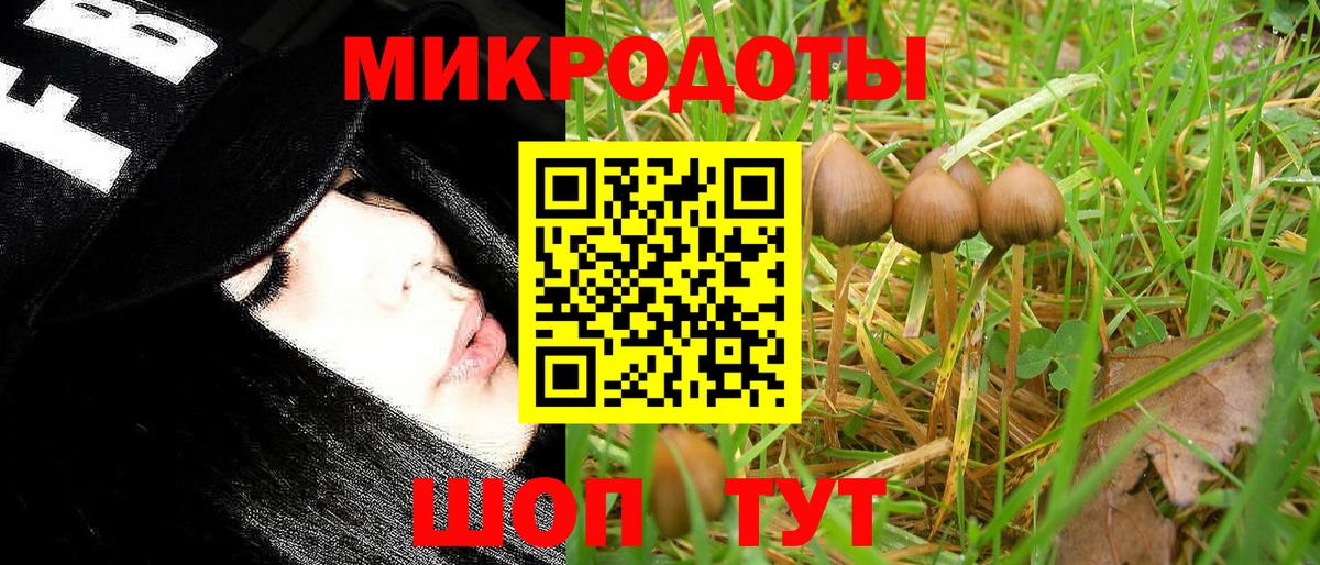 Псилоцибиновые грибы прущие грибы Гуково