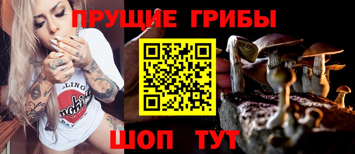 Галлюциногенные грибы Psilocybe  Вход с VPN  Галлюциногенные грибы GOLDEN TEACHER  Гуково 